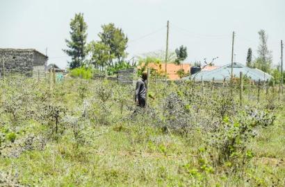 2,700,000 Prime Commercial Joska Plots