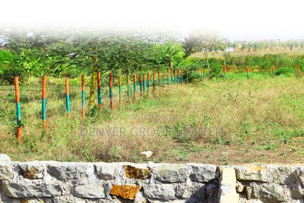 Affordable Malaa Buy & Build Residential Plots