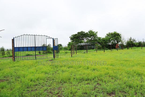 Malaa Prime Plots