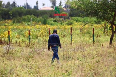 6 Months Installments on Our Kamulu Plots 2.5 Km Off Tarmac