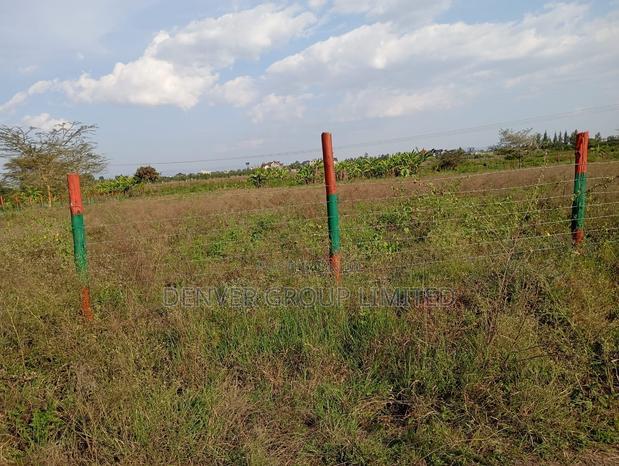 Lipa Mdogo Mdogo Malaa Plots