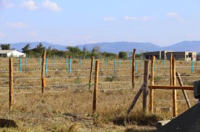 Malaa Prime Plots