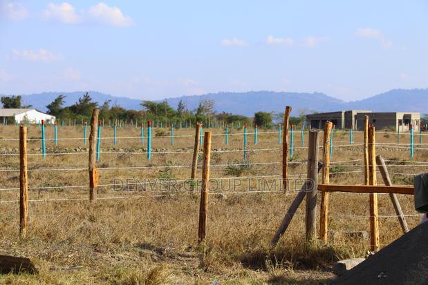 Malaa Prime Plots