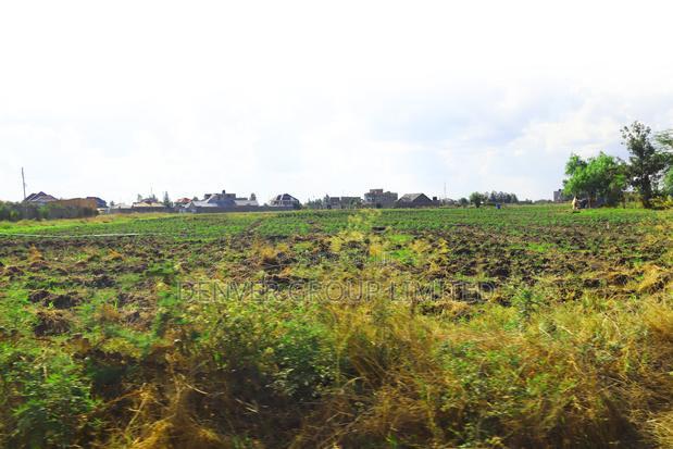 Residential 50*100 Plots 4km From Malaa Town