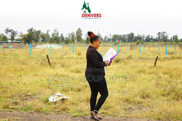 Malaa Plots at a Cheap Price