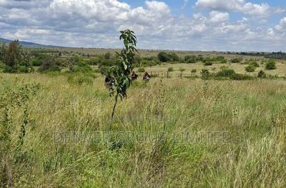 Crack Open the Best Prime Plots in Ruiru