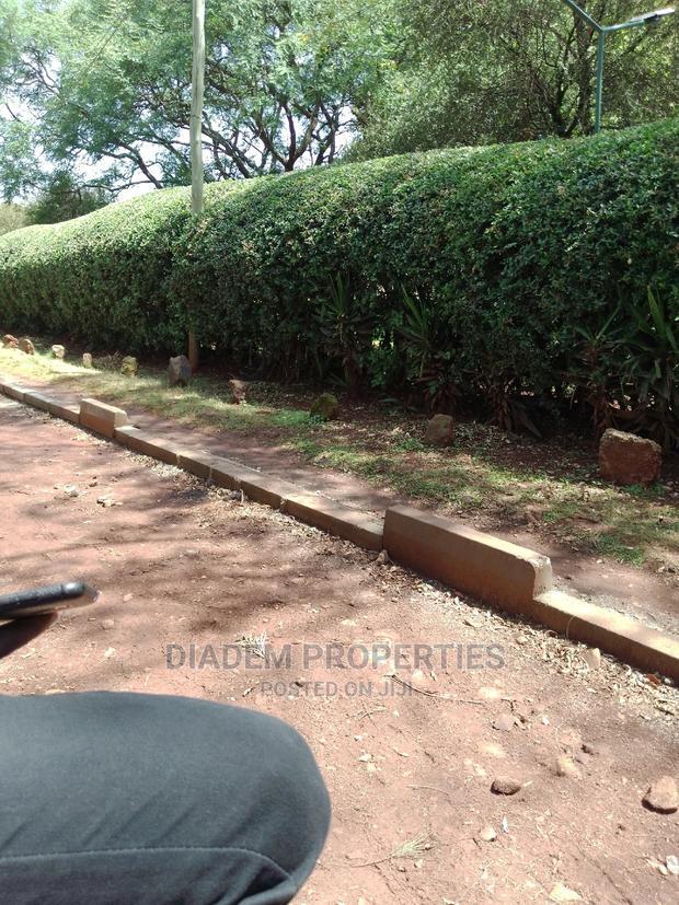 0.325 of an Acre Available for Let