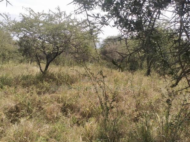 10.8 Acres Near Salama Town With 300mts From Mombasa