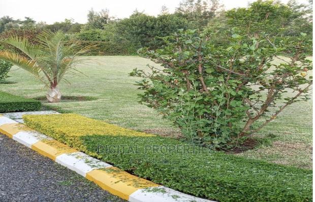 Furnished 3bdrm Farm House in Daiga Location, for sale
