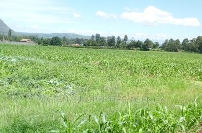 1 Acre Available for Sale in Nakuru Area of Bahati
