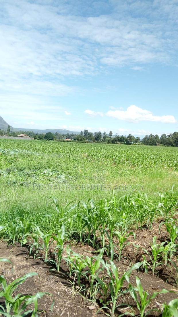1 Acre Available for Sale in Nakuru Area of Bahati