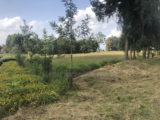 26 Acres for Sale at Karen Near Waterfront at 77m Per Acre