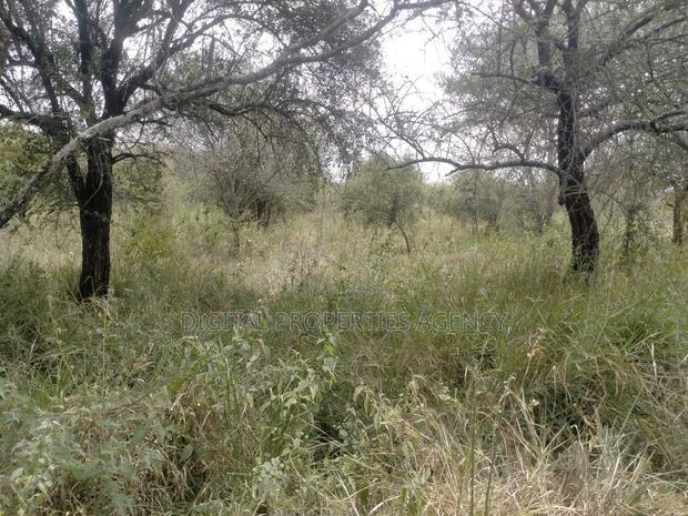 10.8 Acres Near Salama Town With 300mts From Mombasa