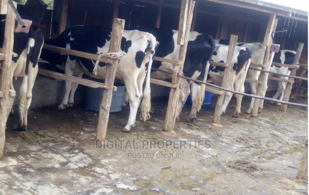 Furnished 3bdrm Farm House in Daiga Location, for sale
