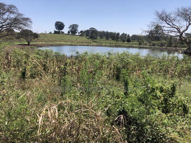 143 Acres Available for Sale in Juja Along Kiganjo Road