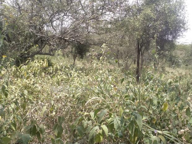 10.8 Acres Near Salama Town With 300mts From Mombasa