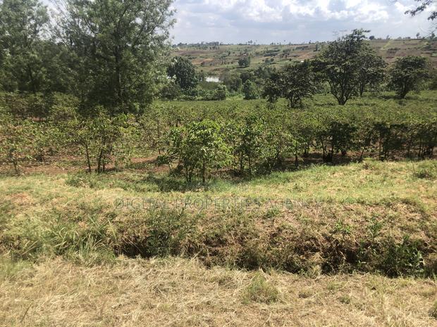 Available 164 Acres Near Tatu City Less Than 5km From Kamiti