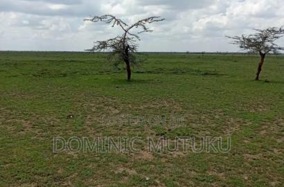 2 Acres Rumuruti- Laikipia