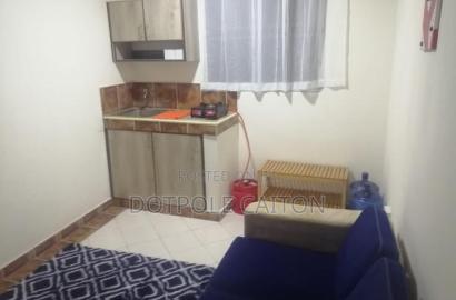 1bdrm Apartment in Ziwa la Ngombe for sale