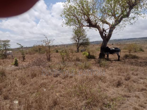 1 Acre for Sale in Mavueni Kilifi