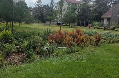 Kileleshwa 0.8 Plot for Sale 250m