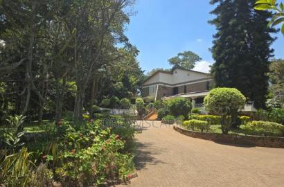 Karen Commercial Property 395,000/-