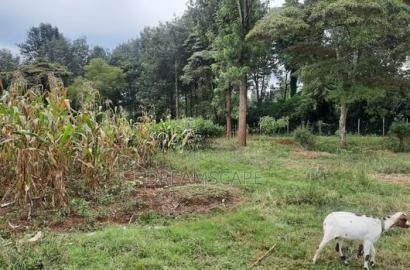 Karen 5 Acres- For Sale
