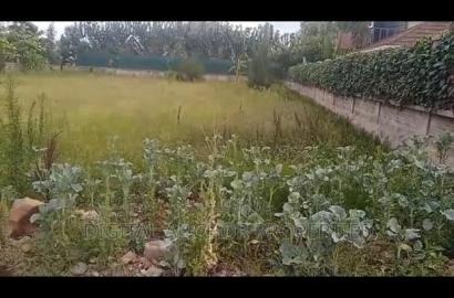 Bogani Karen 0.5 Acre