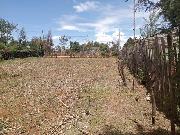 1/8 Plot Kimumu Ideal for Rental