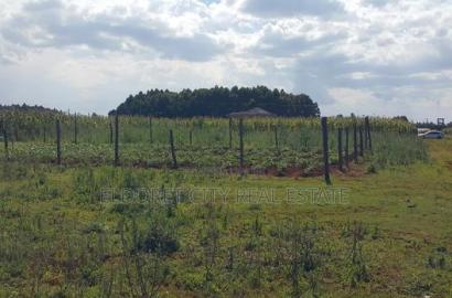 3/4 Plot for Sale in Kiplombe