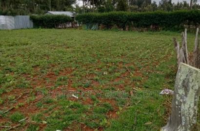 1/4 Plot Ilula Less Than 100metres From Tarmac