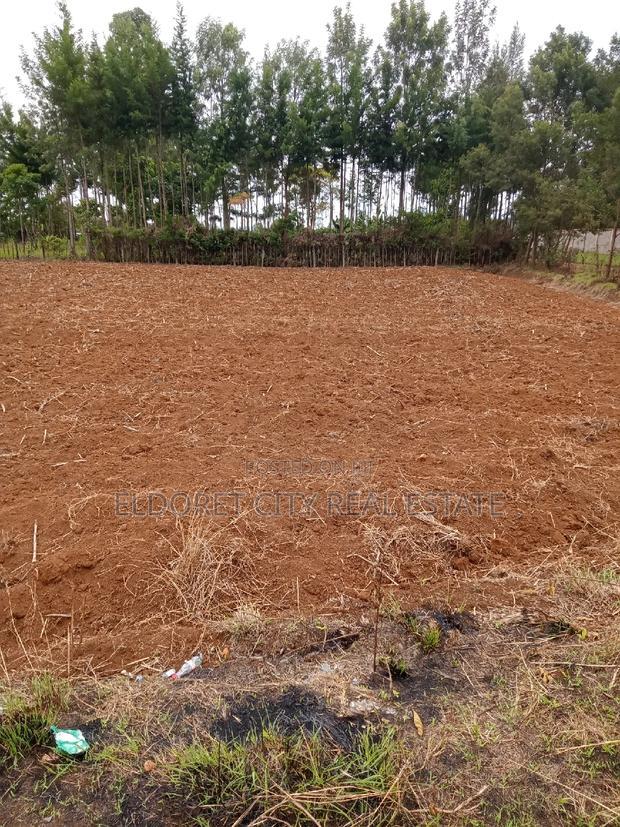 1/2 Acre Elgonview Upper