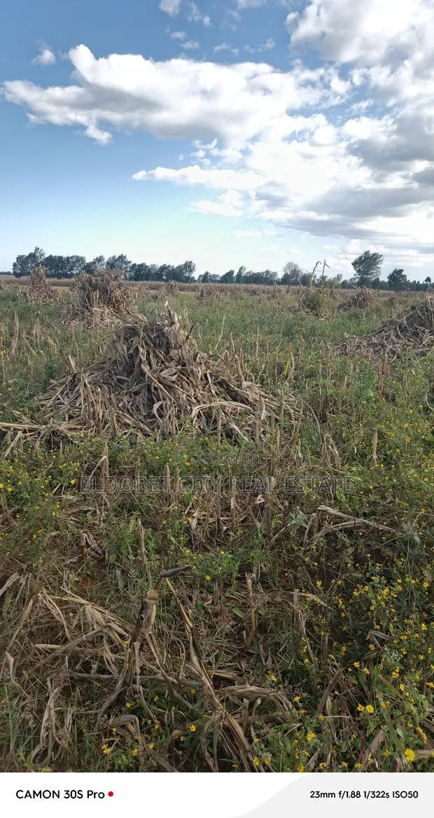 One Under 1/2 Acres Kaaboi With Title