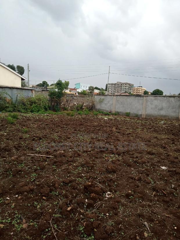 1/4 Plot West Indies With Title