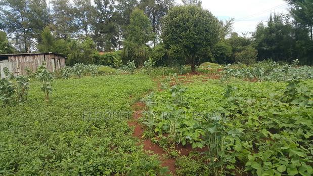 1/2 Acre Elgonview Touching Feeder Tarmac With Title