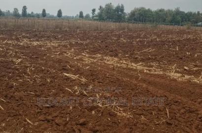 2.5 Acres Kabenes/Kapsang With Title