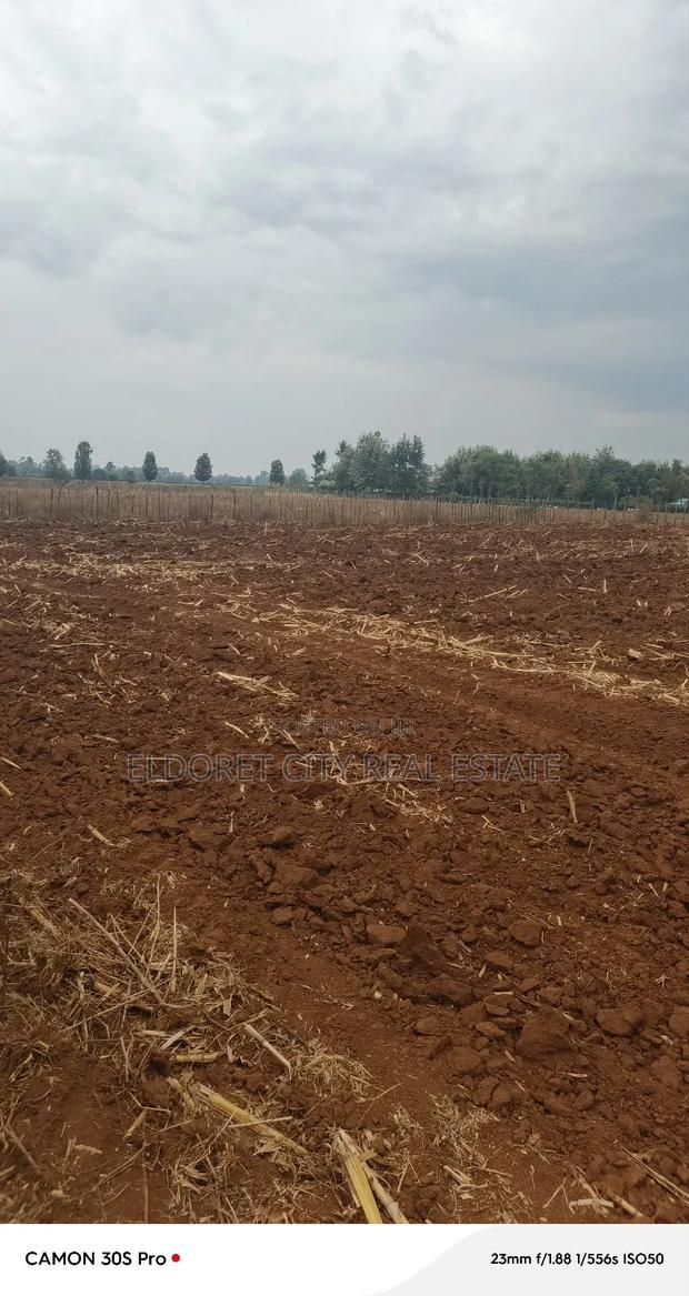 2.5 Acres Kabenes/Kapsang With Title