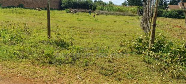 1/4 Plot Kimumu Ideal for Rental.