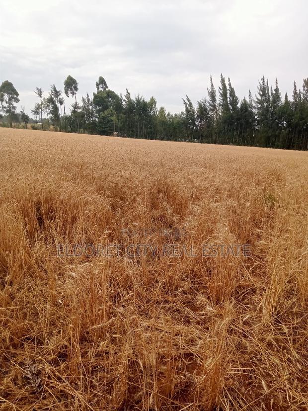 5 Acres Ilula With Title Arable