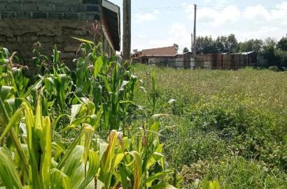 1/8 Plot Kimumu Betterfarm 200 Metres From Tarmac
