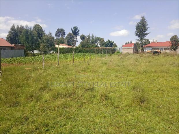 1/4 Plot Betterfarm With Title