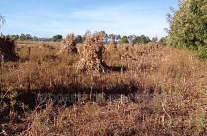One Acre Marura Ideal for Residential