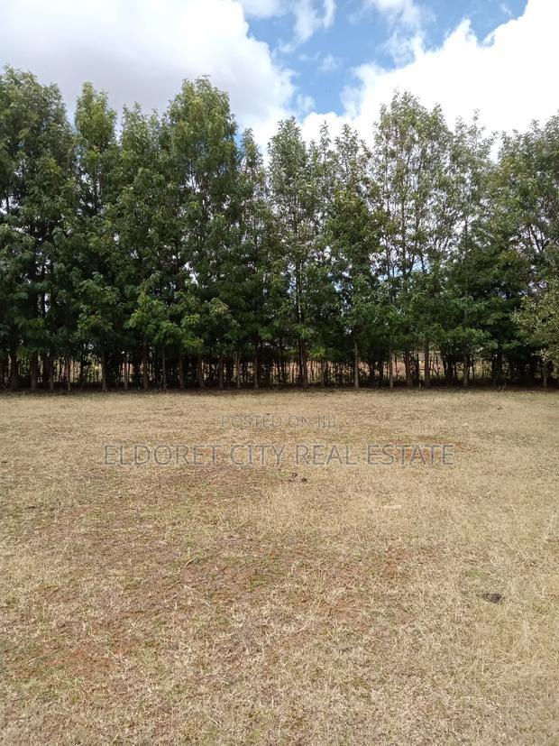 1/2 Acre Kuinet With Title Ideal for Residential