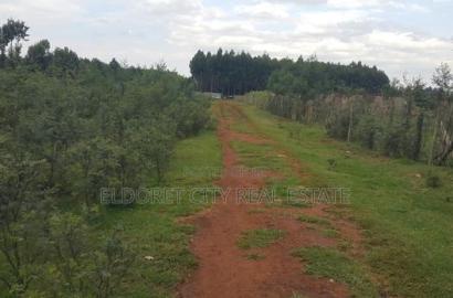1/4 PLOT Annex With Title