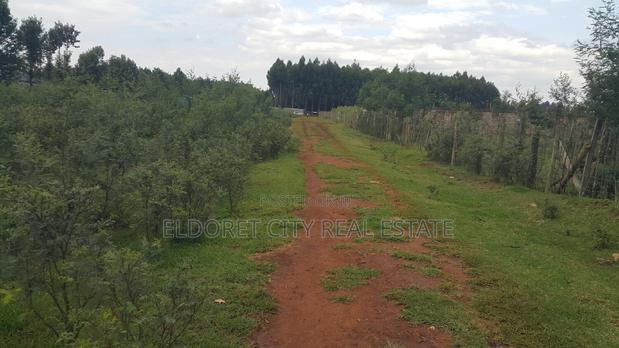 1/4 PLOT Annex With Title