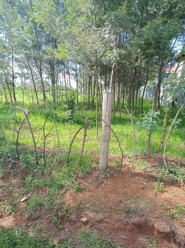 1/2 Acre Annex Ideal for Rental.