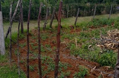 1/8 Plot for Sale Ilula.