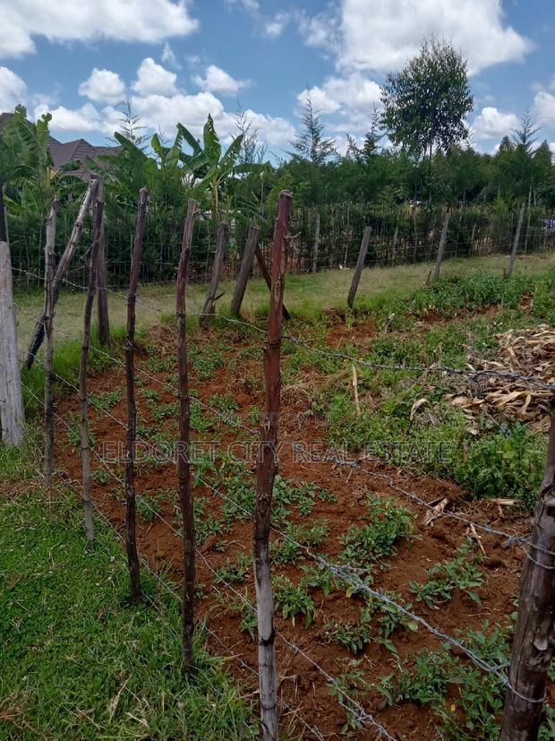 1/8 Plot for Sale Ilula.