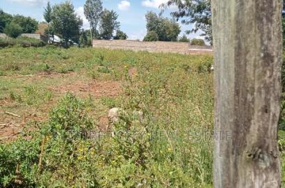 1/4 Plot Kimumu Betterfarm With Title