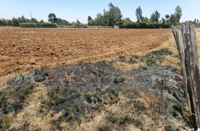1/2 Acre Kiplombe Touching Tarmac